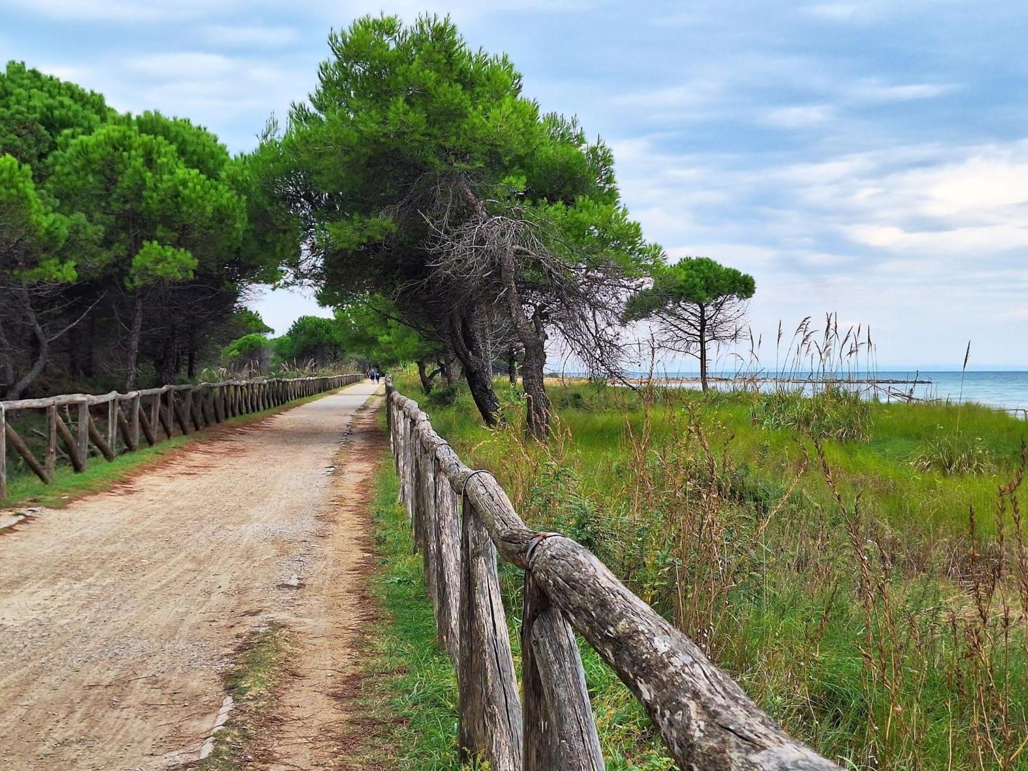 Cozy Flat With Garden - Beahost Apartment Bibione